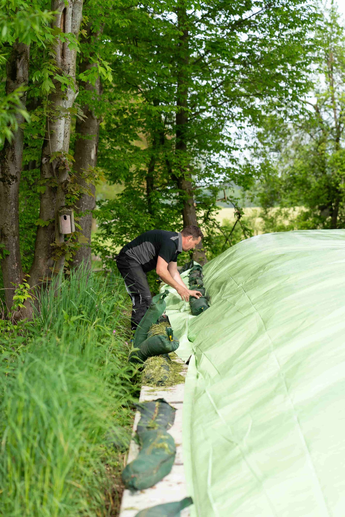 Oasis Silage Cover